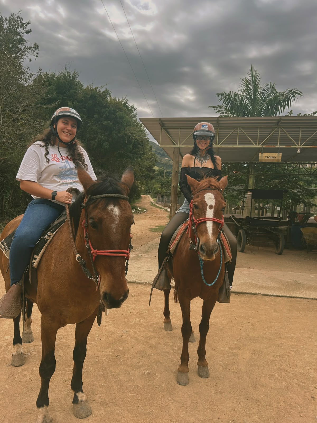 passeio